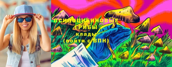 трава Беломорск